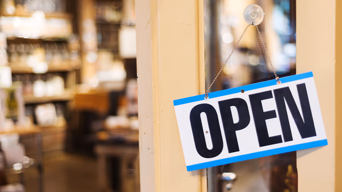 What Services Do Marketing Agencies Usually Provide? (Etobicoke Ontario Edition)